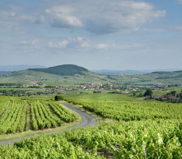 Le terroir du Domaine Franck Chavy