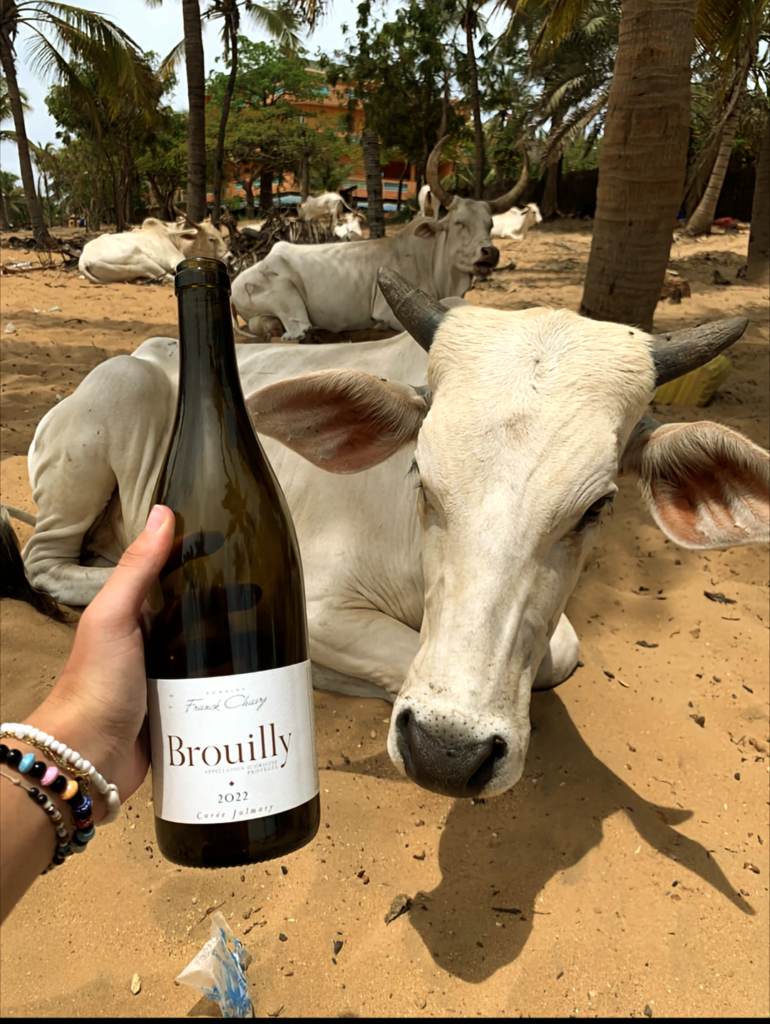 M Bour Sénégal par Manon