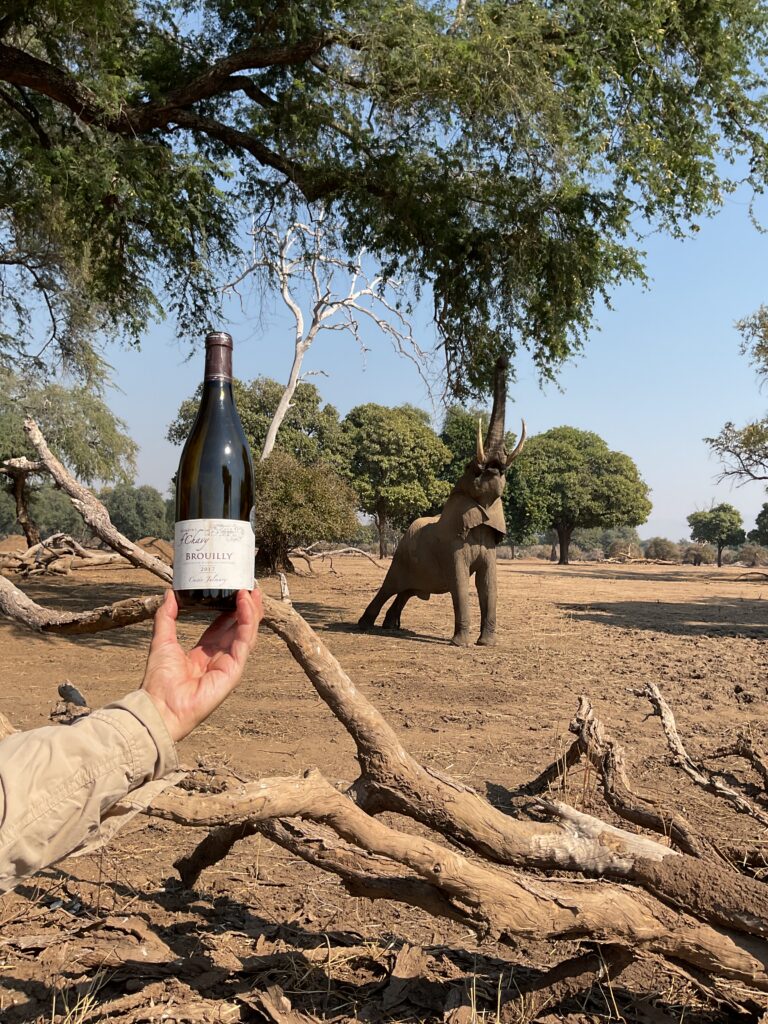 Chilojo Cliffs,, Zimbabwe par Dominique et Olivier