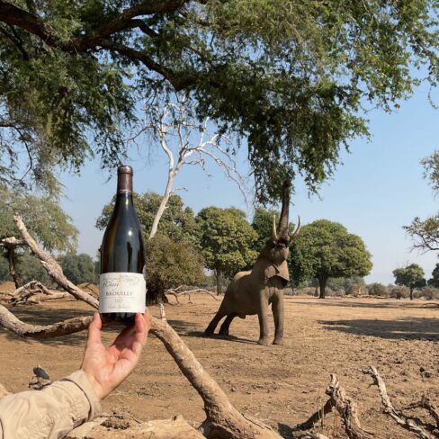 Chilojo Cliffs,, Zimbabwe par Dominique et Olivier