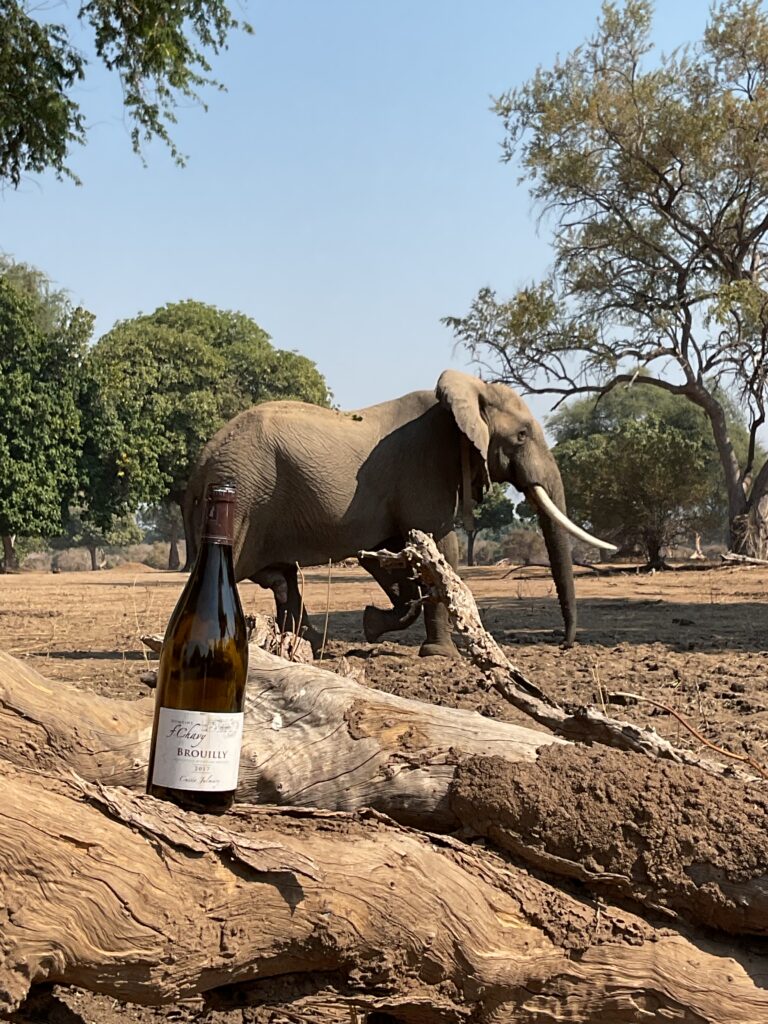 Le parc de Gonarhezou, Zimbabwe par Dominique et Olivier