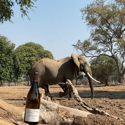 Le parc de Gonarhezou, Zimbabwe par Dominique et Olivier