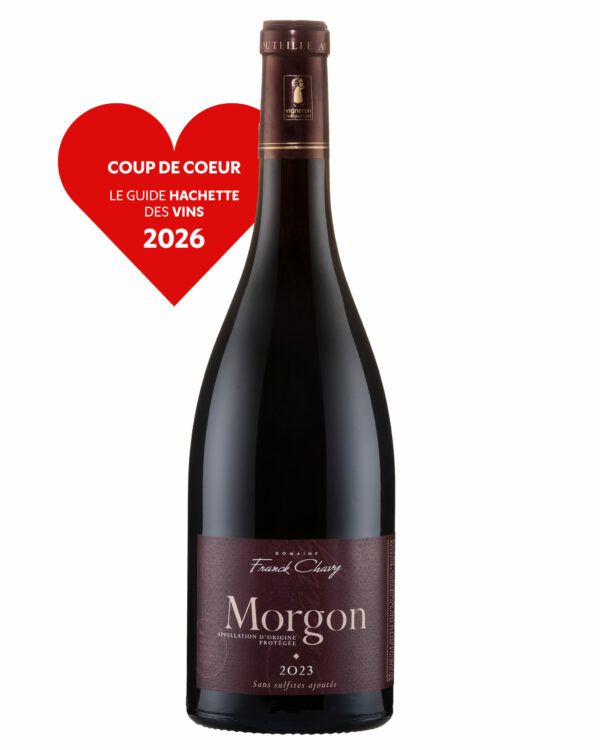 Morgon | 2023 - "Sans Sulfite" Coup de cœur Guide Hachette 2026